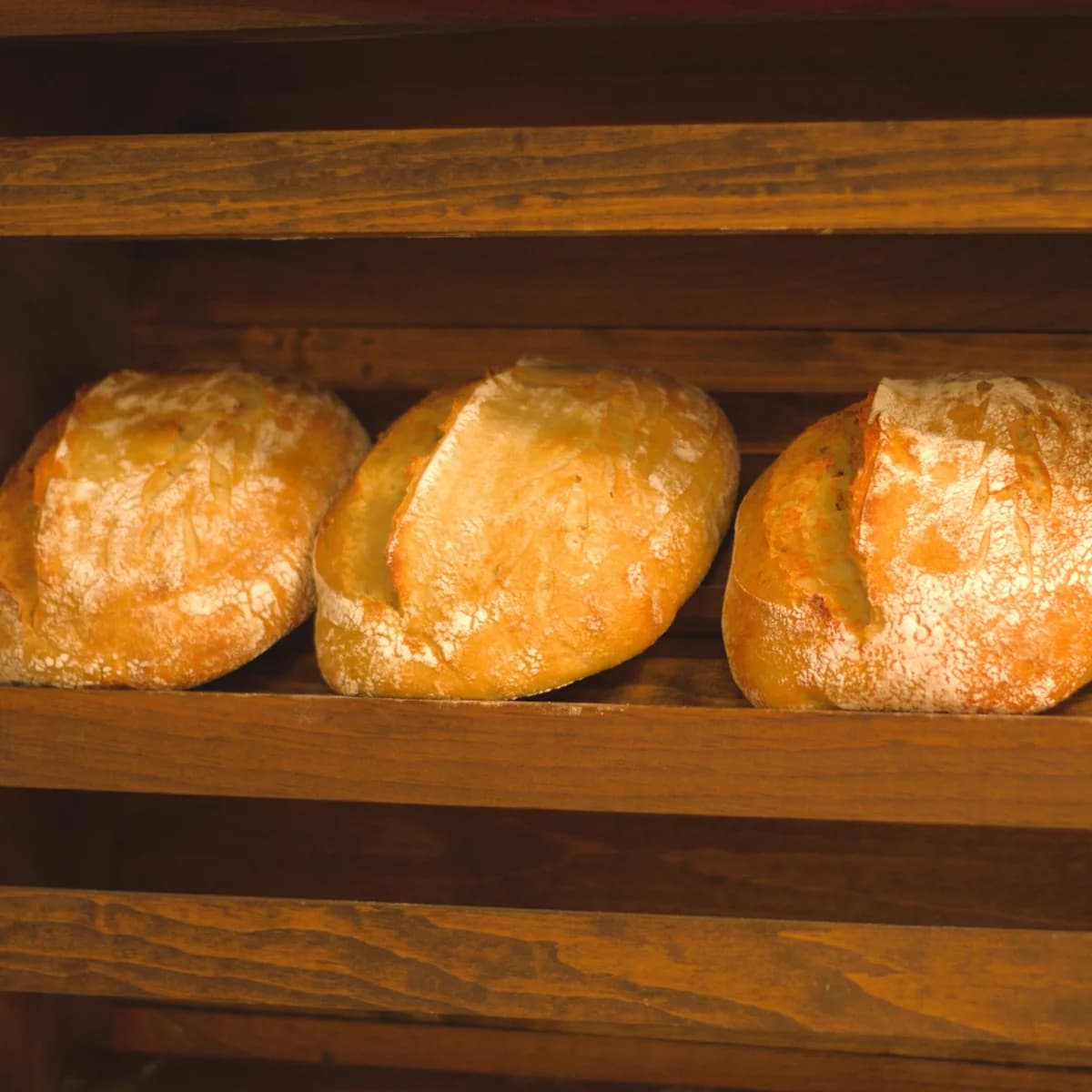 Sourdough Bread