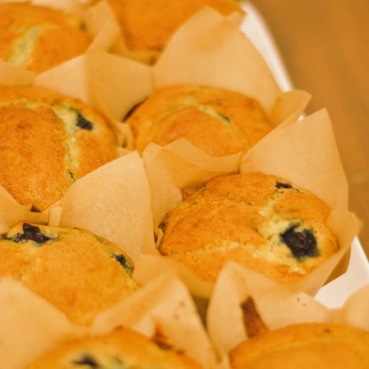 Blueberry Muffin